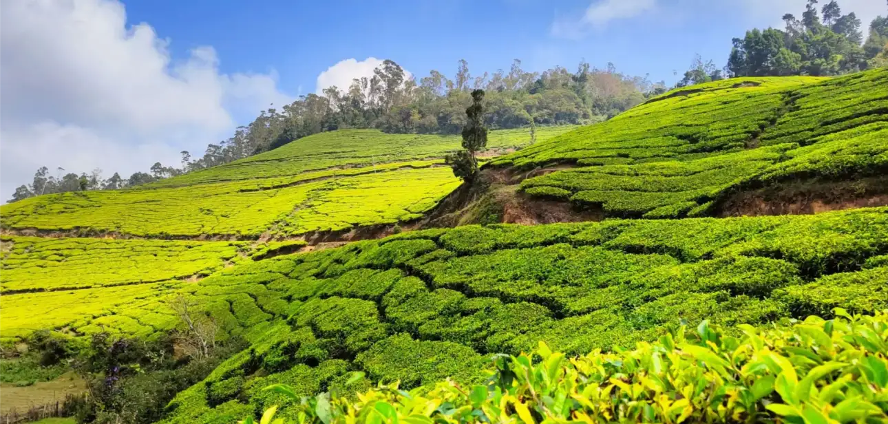 kerala