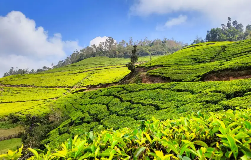 kerala